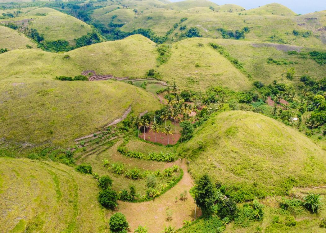 Que faire à Nusa Penida - Teletubbies Hills