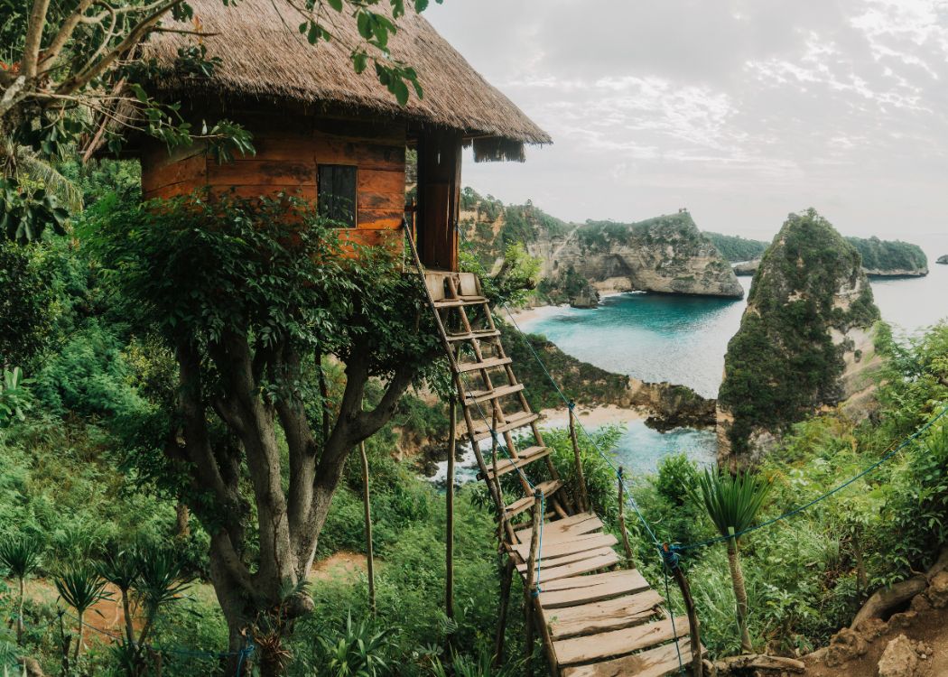 Que faire à Nusa Penida - Rumah Pohon