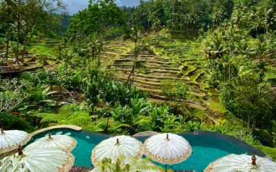 Les 7 mythes sur Bali en 2026 : La vérité que personne ne vous dit