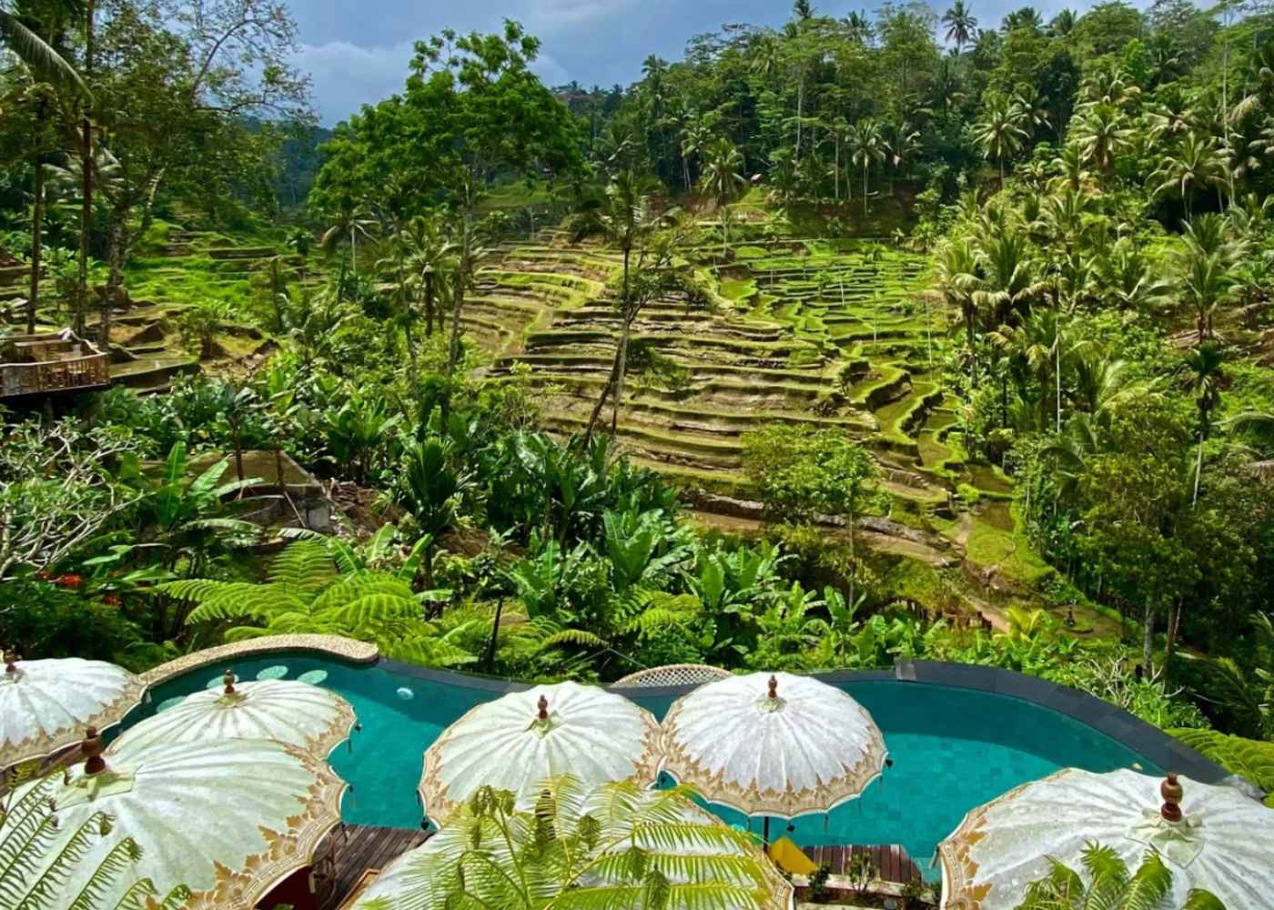 »Bali