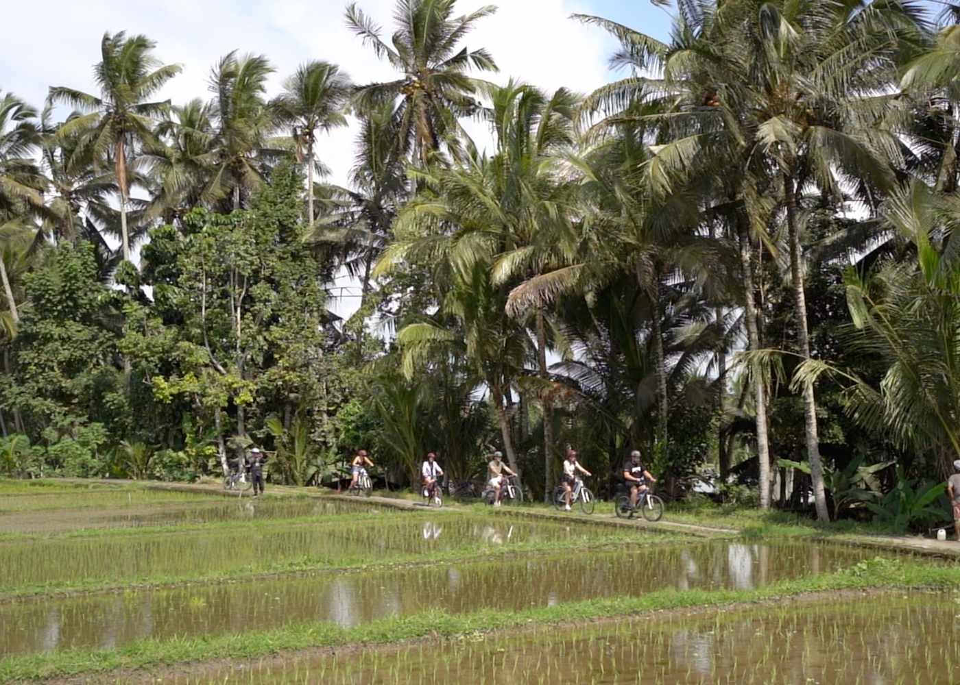 Ubud rizières jungle séjour culturel
