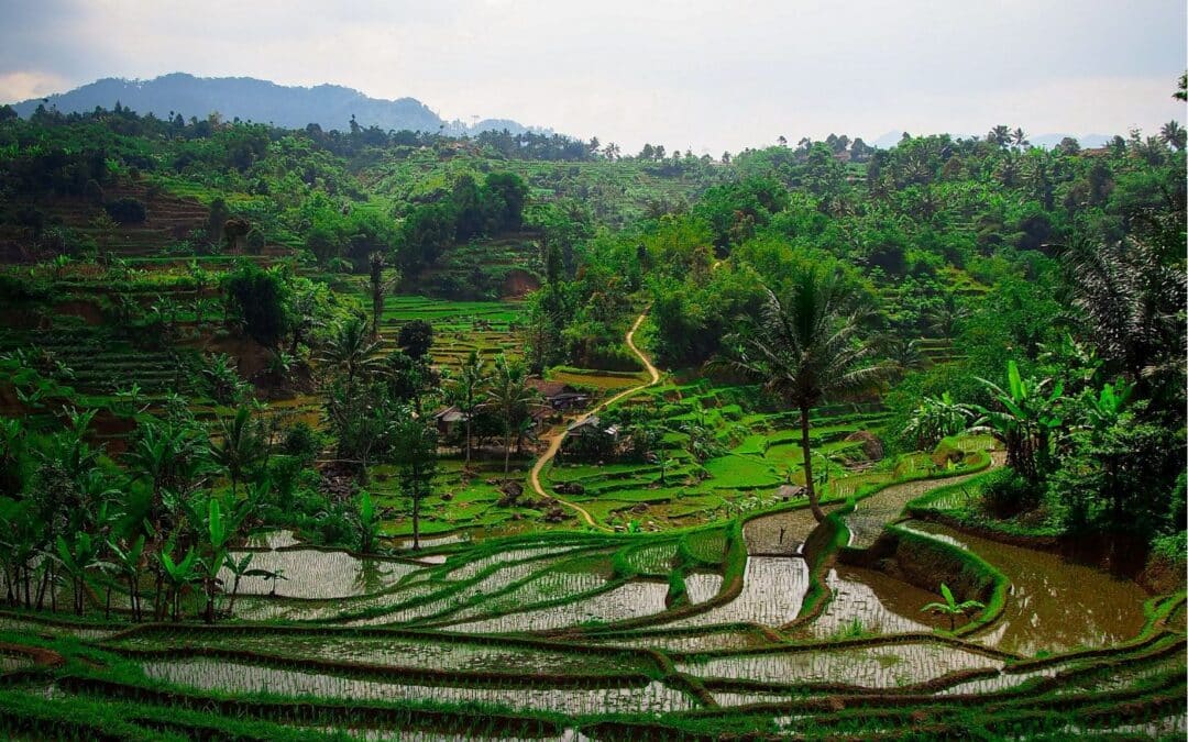 Bali : les meilleurs mois pour découvrir l&rsquo;île loin de la foule